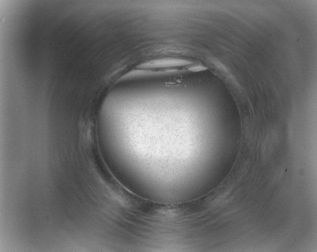 X0000068750071200605051551