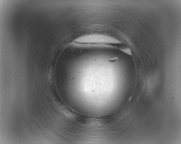 X0000068750073200605051551