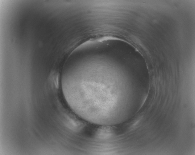 X0000068750076200605051551