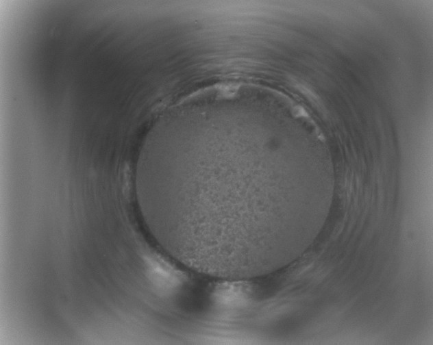 X0000068750077200605051551