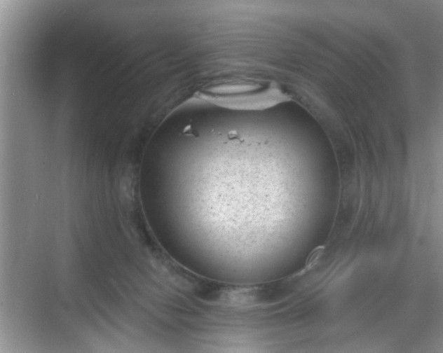 X0000068750078200605051551