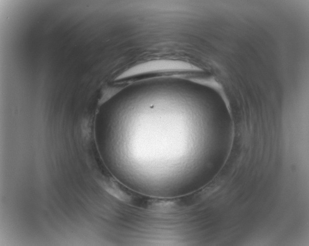 X0000068750081200605051551