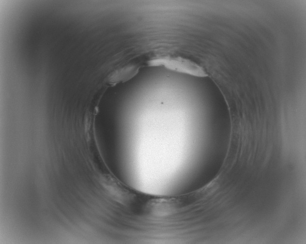 X0000068750082200605051551