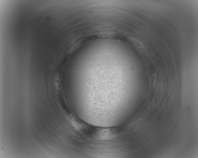 X0000068750083200605051551