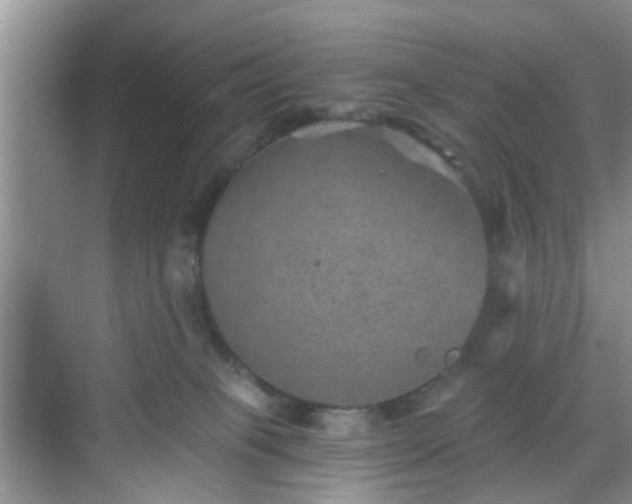 X0000068750085200605051551