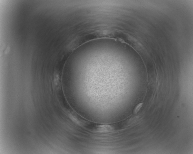 X0000068750087200605051551