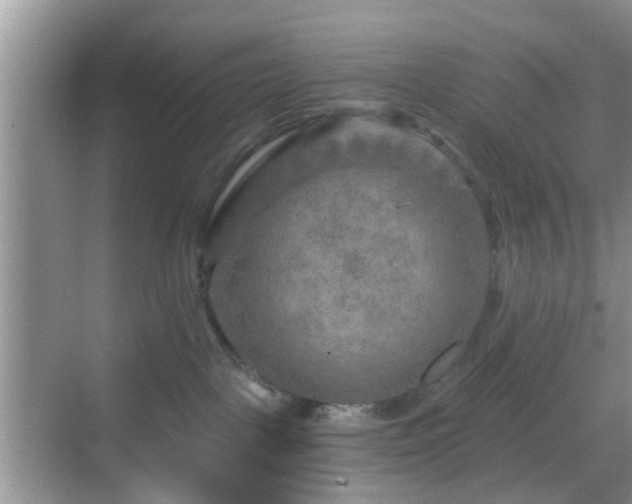 X0000068750093200605051551