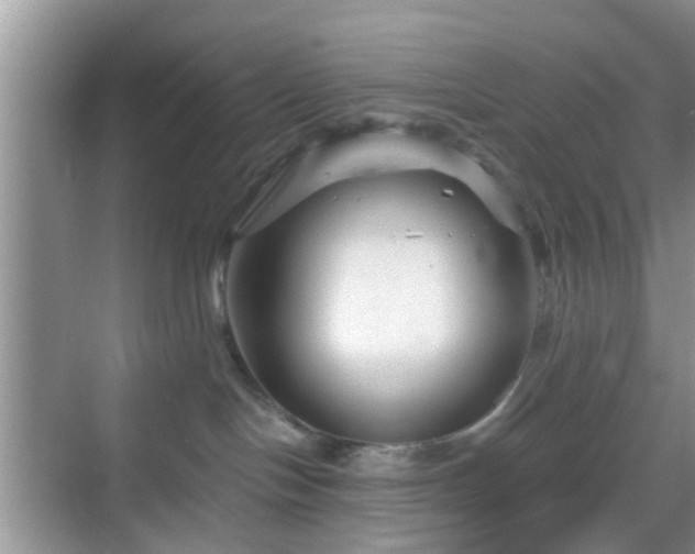 X0000068750094200605051551