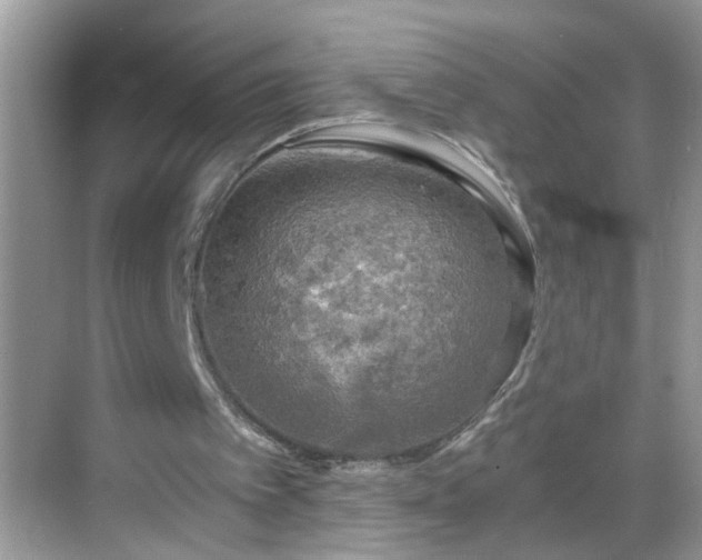 X0000068750097200605051550