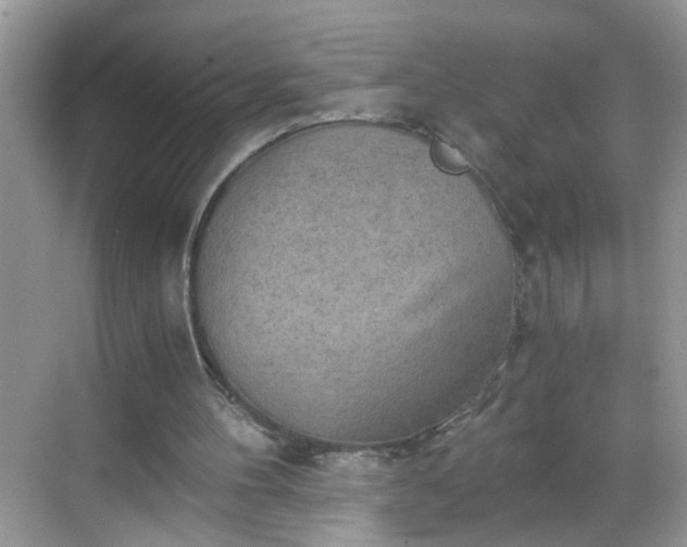 X0000068750100200605051550