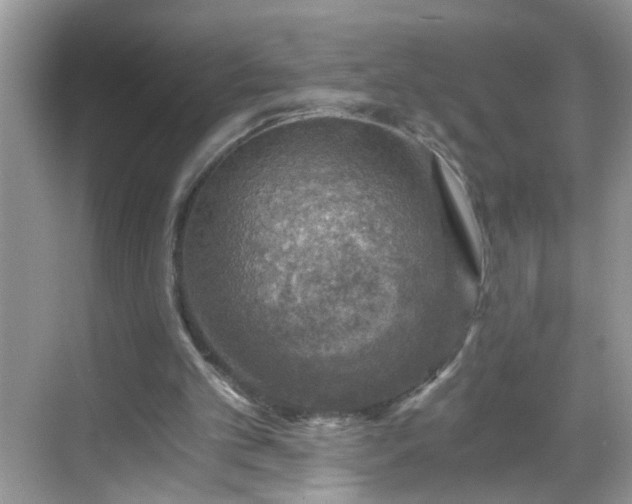 X0000068750101200605051550