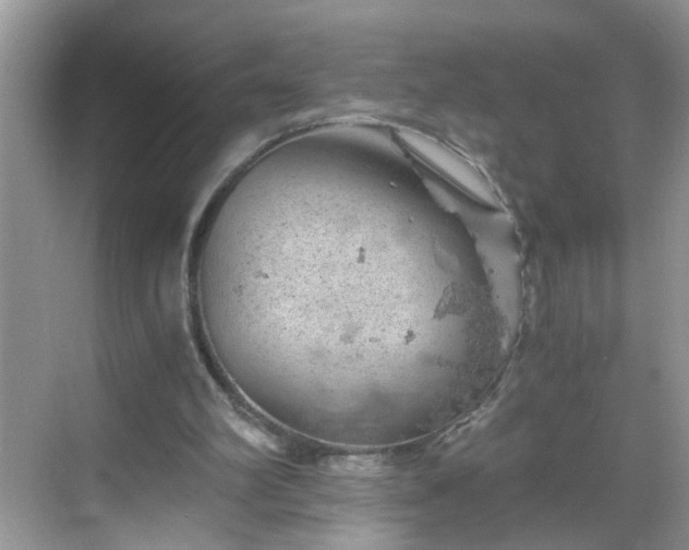 X0000068750102200605051550