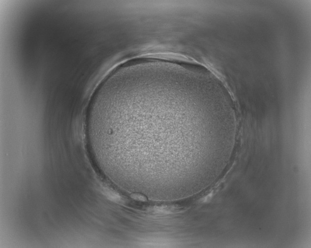 X0000068750103200605051550