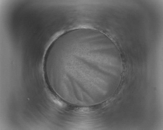 X0000068750104200605051550