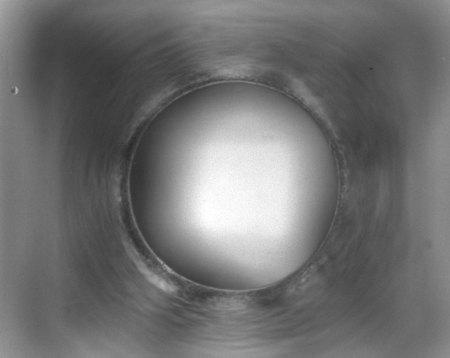 X0000068750106200605051550