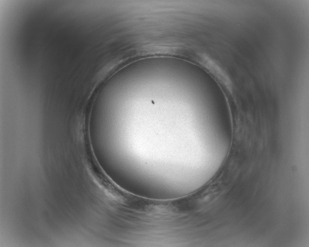 X0000068750107200605051550