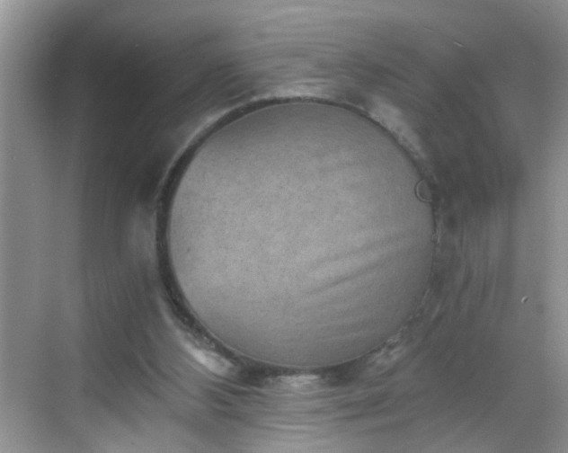 X0000068750108200605051550