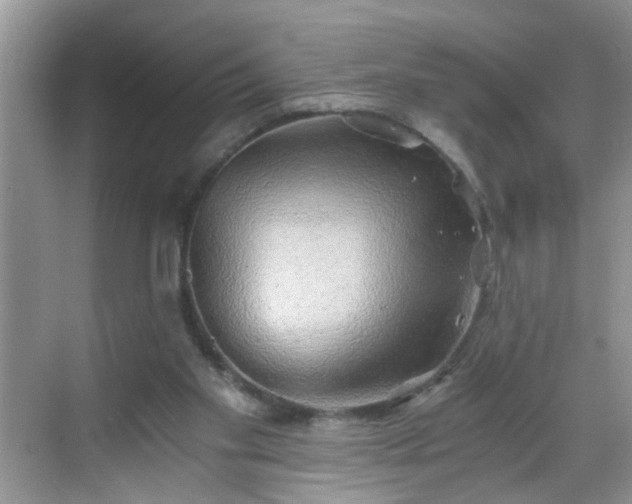 X0000068750109200605051550