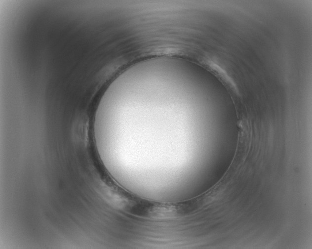 X0000068750110200605051550