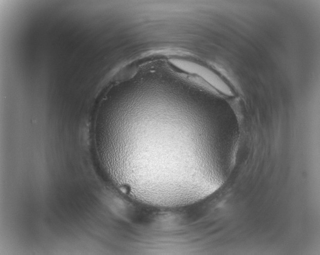 X0000068750111200605051550