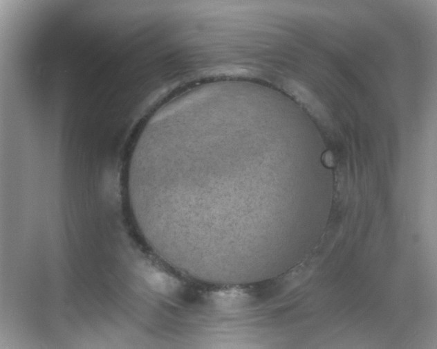 X0000068750112200605051550