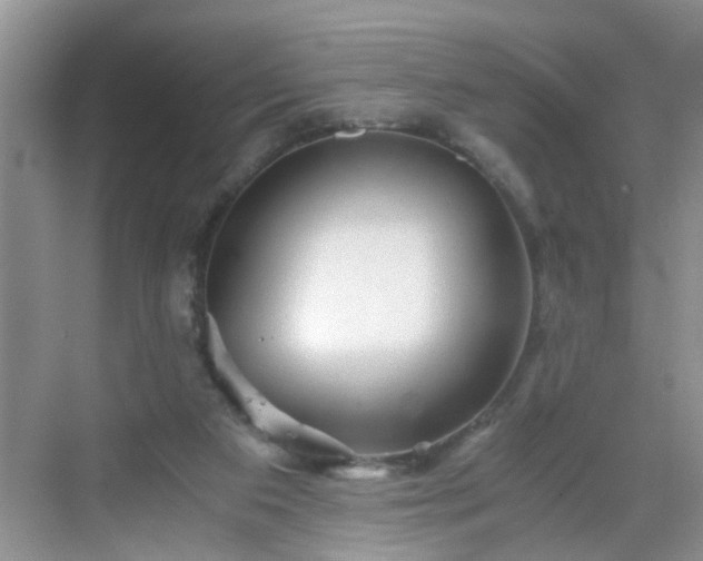 X0000068750113200605051550