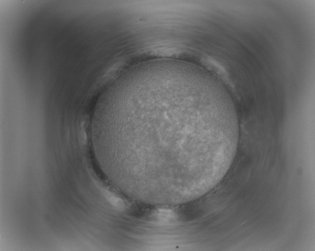 X0000068750114200605051550