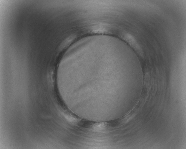 X0000068750116200605051550