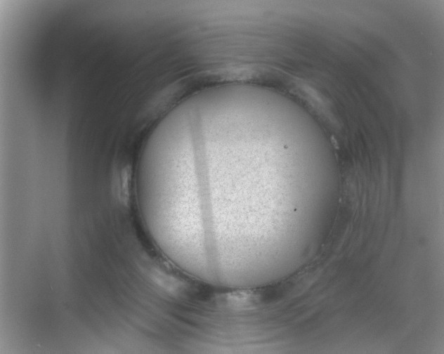 X0000068750118200605051550