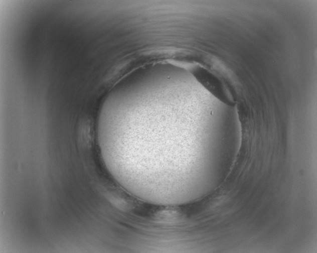 X0000068750119200605051550