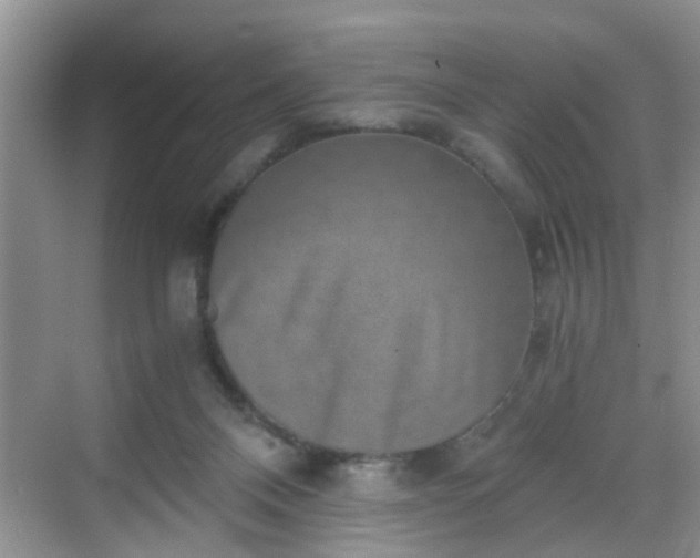 X0000068750120200605051550