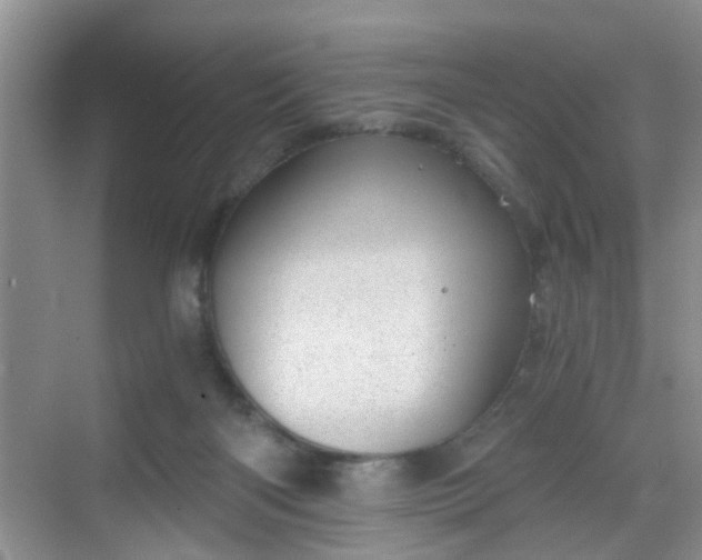 X0000068750122200605051550