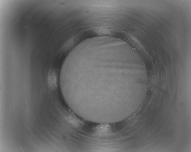 X0000068750124200605051550