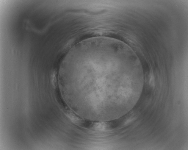 X0000068750127200605051550