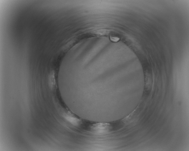 X0000068750128200605051550