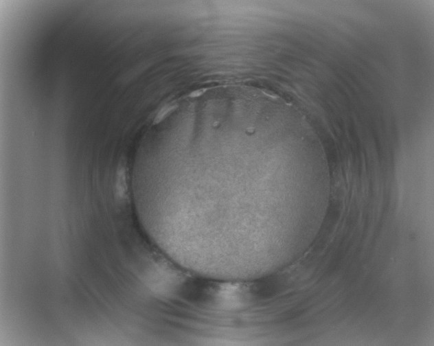 X0000068750130200605051550