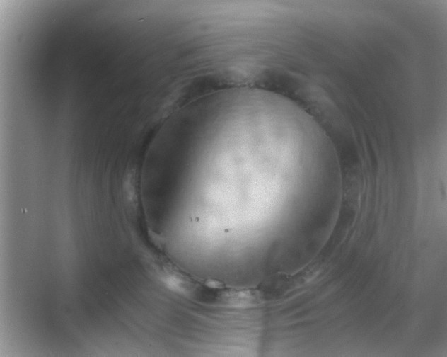 X0000068750131200605051550