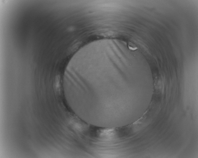 X0000068750132200605051550