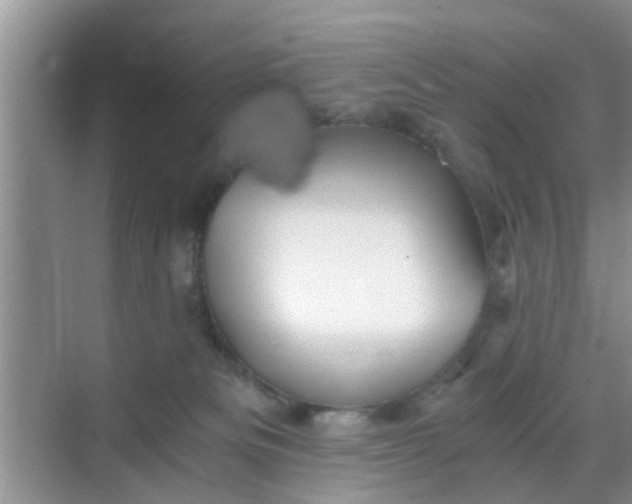 X0000068750133200605051550