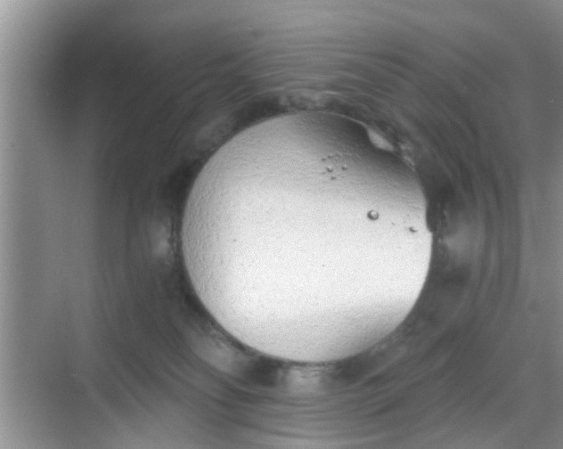 X0000068750134200605051550