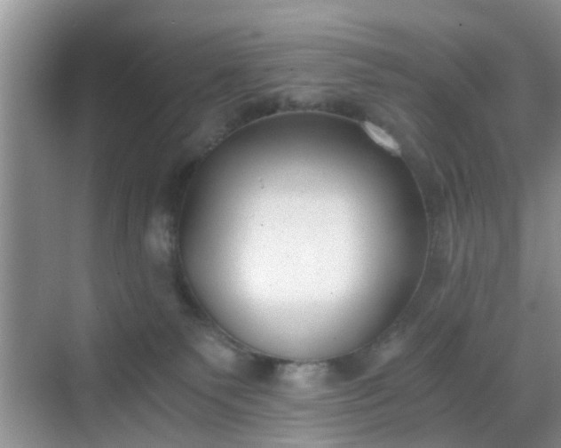 X0000068750135200605051550