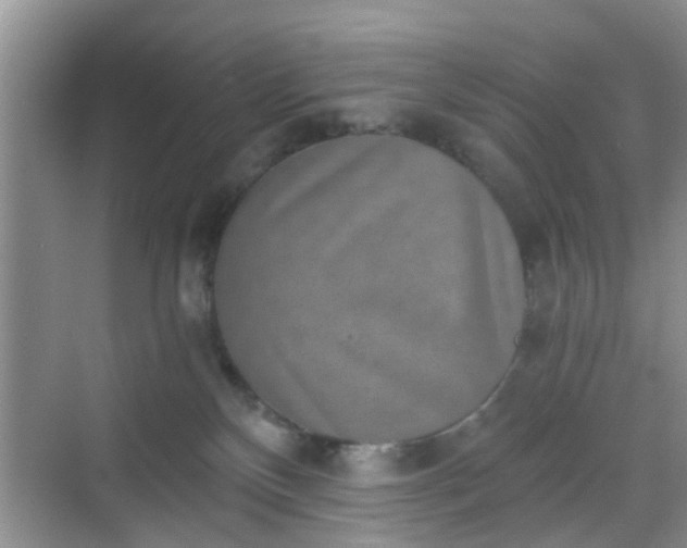 X0000068750136200605051550