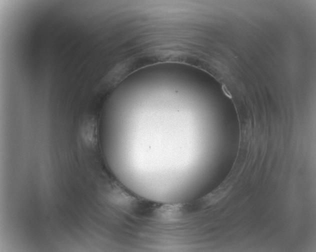 X0000068750138200605051549