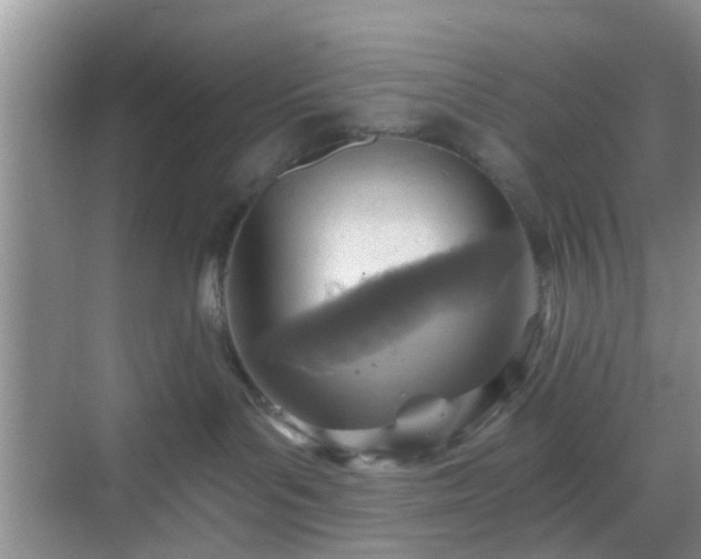 X0000068750143200605051549