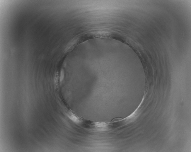 X0000068750144200605051549