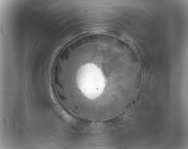 X0000068750145200605051549