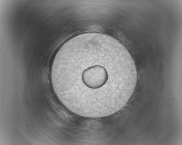 X0000068750146200605051549