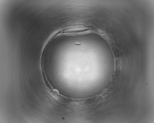 X0000068750147200605051549