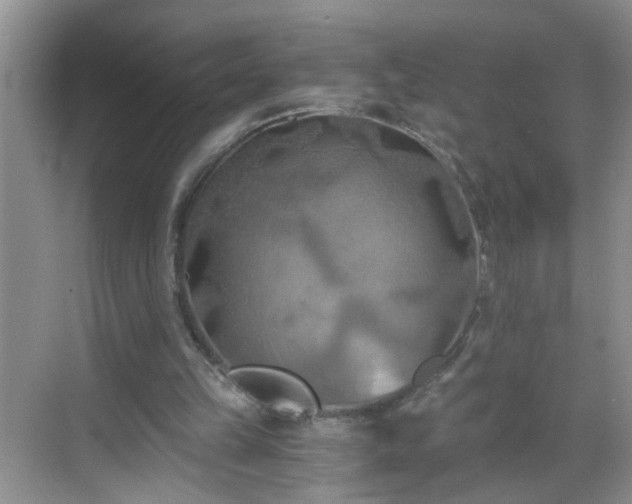 X0000068750149200605051549