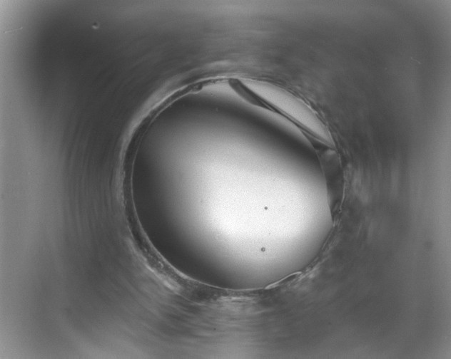 X0000068750150200605051549